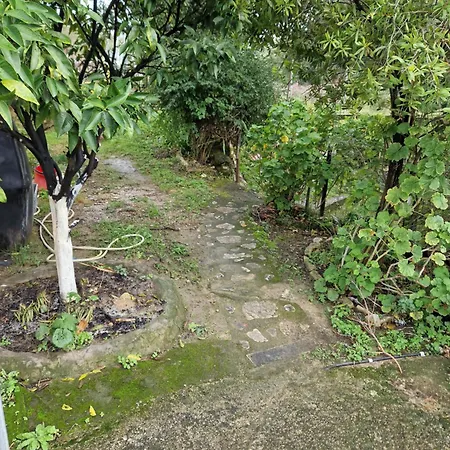 Apartament Nafsika *